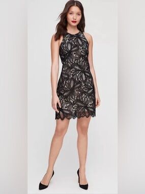 Aritzia Babaton Henry Black Floral Lace Halter Mini Dress Romantic Feminine